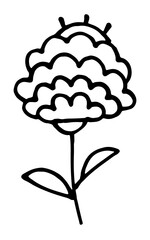 Vector doodles of a flower, inflorescence, black and white drawing, sketch.