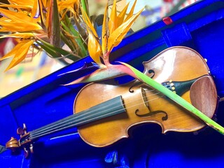 violin and bow with flower