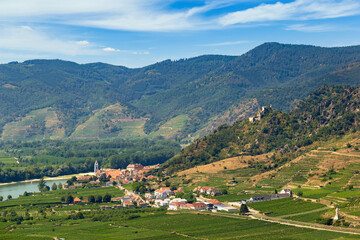 Fototapeta na wymiar Danube river and vineyards in Wachau valley. Lower Austria.