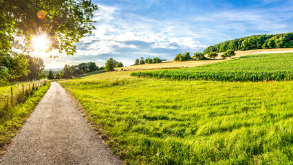Feldweg mit Hügellandschaft im Gegenlicht im Sommer bei St. Wendel im Saarland