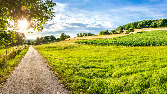 Feldweg mit H&uuml;gellandschaft im Gegenlicht im Sommer bei St. Wendel im Saarland