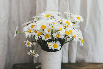 Beautiful daisy flowers on wooden rural chair in rustic room, close up. Summer vibes, simple home...
