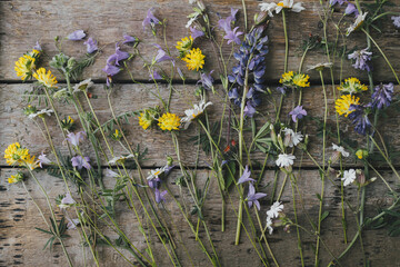 Beautiful summer wildflowers flat lay on rustic wooden background. Gathering and arranging flowers at home in countryside. Colorful wild flowers bouquet composition