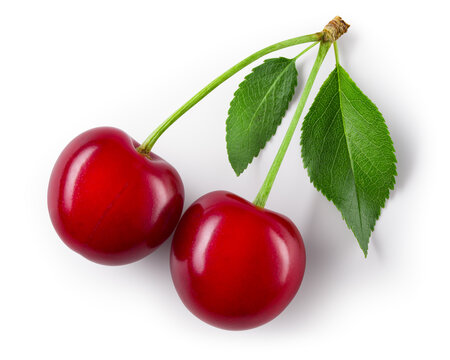 Cherry. Cherry with leaves on white background. Cherries top view. Two cherri with clipping path.