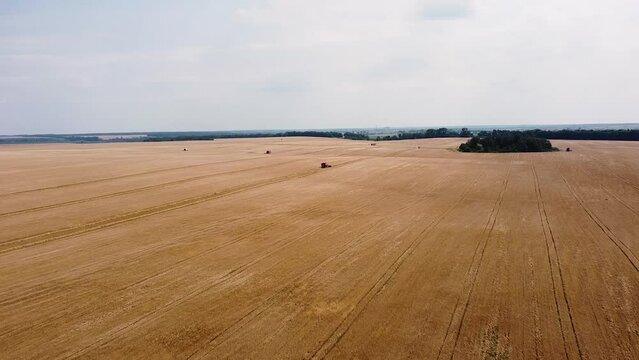 A drone flies over a combine harvester reaping barley. A drone flies over a combine harvester reaping wheat.