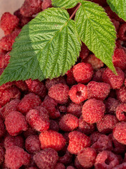 Ripe red raspberry background with green leaves, vertical