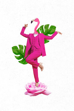 Vertical collage portrait image picture of slim sexy funny funky lady pink outfit flamingo head isolated on painting plant background