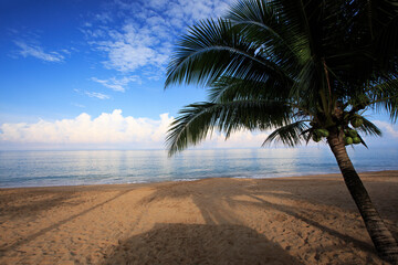 Obraz na płótnie Canvas tropical paradise beach with white sand and coco palms travel tourism background concept