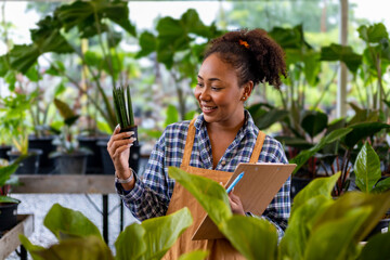 African American gardener is working inside her greenhouse at nursery garden center for native and...