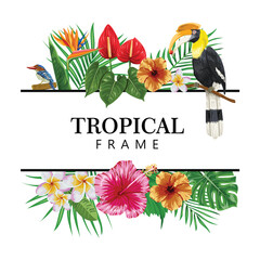 Frame with hornbill and tropical plants illustration