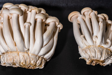Bunch of delicate white shimeji mushrooms on black background.