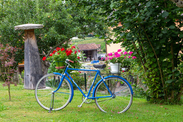 Fototapeta premium Bicicleta azul con flores utilizada como decoración en un jardín. 