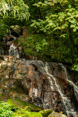 waterfall in the forest