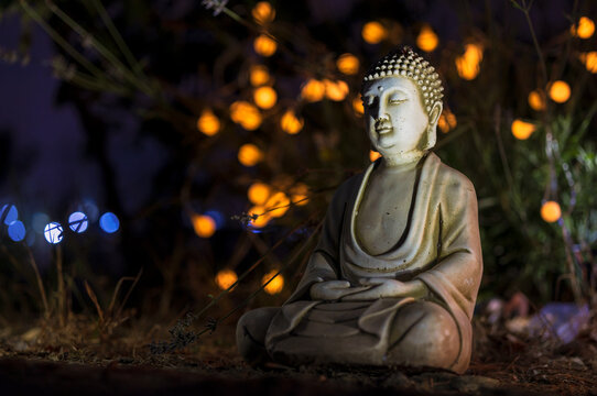 Figure of a Buddha with joined hands in a natural garden with small lights.