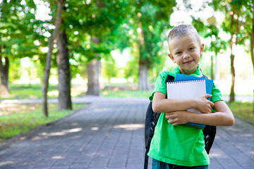 Back to school. Portrait of an elementary school student. First grader. The beginning of classes. A...