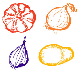 Set vegetable collection squash, onions, shallot, potato illustration autumn vegetables prepare to eat food colorful. Old-fashioned cooking recipe eat well old vegetables a bulb soup preparation