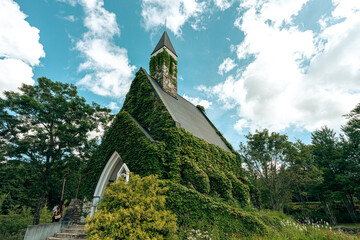 Fototapete bei efototapeten.de bestellen   