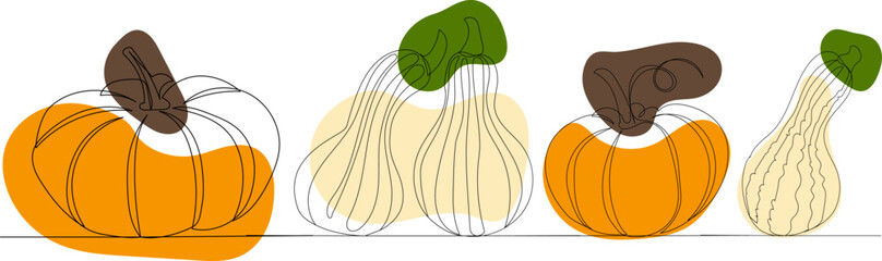 pumpkins of different varieties drawing by one continuous line vector