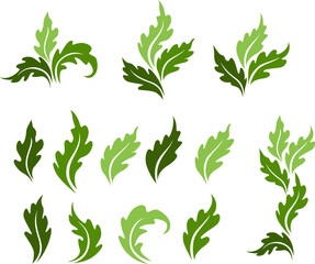 Leaves icon collection, Set vector isolated decorations.