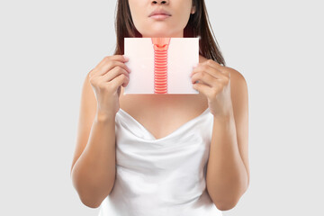 Bronchial or windpipe on the woman body and Bronchitis symptoms.