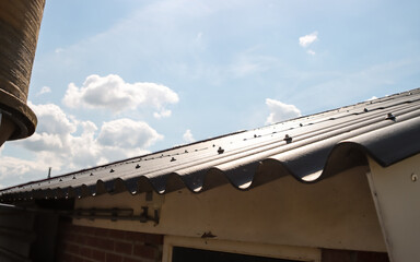 Fiber cement sheet on the roof a farm