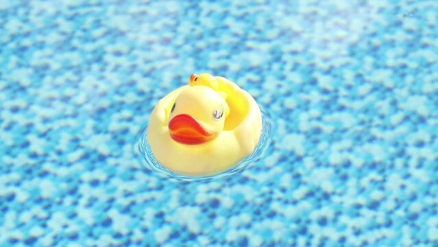 A beautiful yellow duck swims in a pool of clear blue water on a bright sunny day