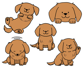 茶色いダックスのセット