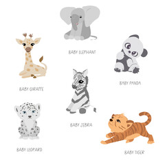 Wild animals vector collection set and their names. Hand drawn tiger, giraffe, zebra, elephant, leopard. Cartoon exotic animals. Africa safari characters wildlife vector illustration