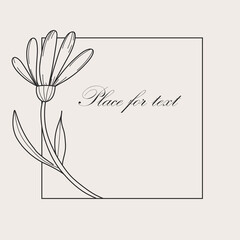 Botanical square frame. Hand drawn round line border, leaves and flowers, wedding invitation and cards, logo design and posters template. Elegant minimal style floral, vector isolated illustration