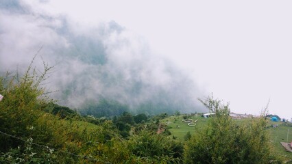 fog in the mountains