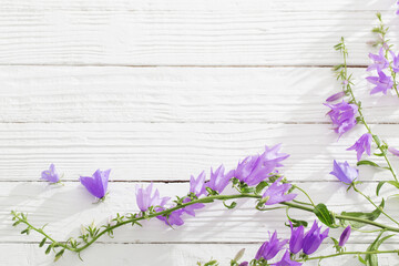 bluebell flowers  on white wooden background