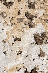 vertical background in the form of a peeling old wall