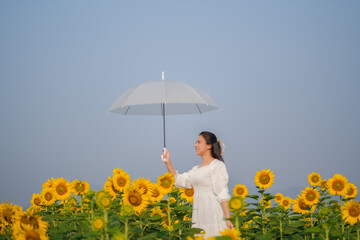 beautiful sweet girl asia  in a white dress walking on a field of sunflowers , smiling a beautiful smile,cheerful girl,style, lifestyle be happy