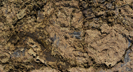 Close up on organic fertilizer cow manure.  Cattle manure texture background.