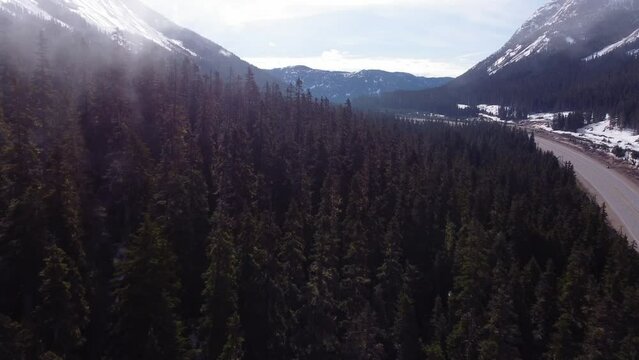 High angle video panning over a dense forest next to Coquihalla highway, British Columbia