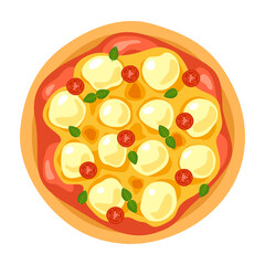 Illustration of buffalo pizza top view. Vector flat modern illustration