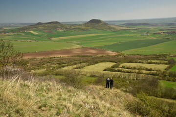 Obraz premium Mila hill, Czech Central Highlands, pheasant's eye and other vegetation