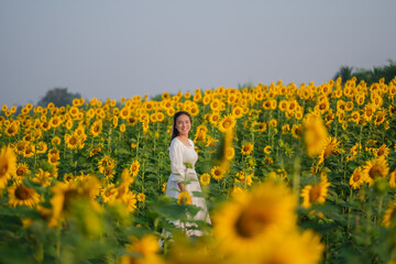 Fototapeta premium beautiful sweet girl asia in a white dress walking on a field of sunflowers , smiling a beautiful smile,cheerful girl,style, lifestyle be happy