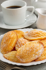 Traditional madeleines with sprinkled sugar.