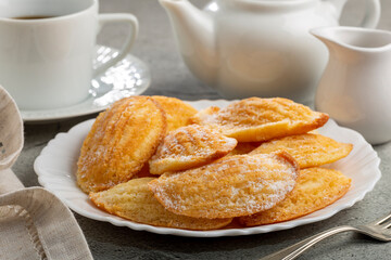 Traditional madeleines with sprinkled sugar.