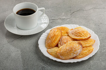 Traditional madeleines with sprinkled sugar.