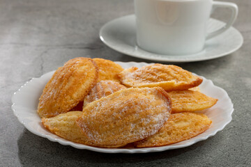 Traditional madeleines with sprinkled sugar.