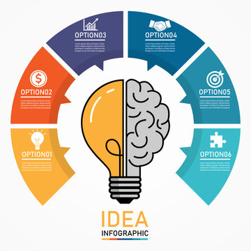 Infographic Light Bulb Template Design On White Background. Business And Finance Concept.6 Elements Symbol Can Be Used For Workflow Layout, Diagram. Half Idea Brain Sign. Creative Thinking To Success.