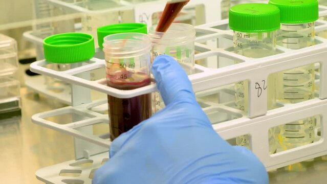 4k real time - hospital staff carrying out medical research in the laboratory with pipettes, test tubes, samples, etc...