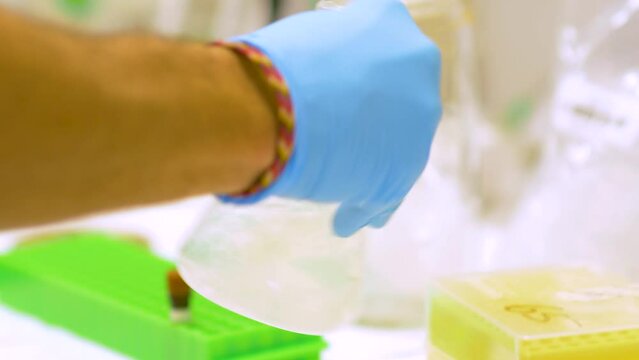 4k real time - hospital staff carrying out medical research in the laboratory with pipettes, test tubes, samples, etc...