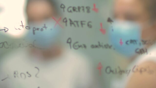 4k real time - hospital staff carrying out medical research in the laboratory with pipettes, test tubes, samples, etc...