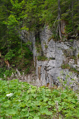 kleinwalsertal, schwarzwassertal