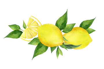 Watercolor lemon compositions set. Arrangements. Half, slice, green leaf, branch of summer tropical fruit. Antiviral health food. Perfect for home decor, card making, cocktail menu.