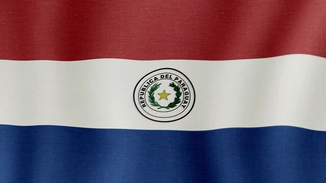 Animation of the national flag of the country of Paraguay fluttering in the wind with a fabric texture in 4K