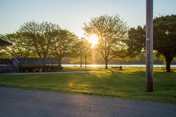 Low-angle view of beautiful trees in St. Charles, Missouri, USA